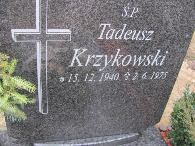 Tadeusz KRZYKOWSKI 1940 Toruń - Grobonet - Wyszukiwarka osób pochowanych