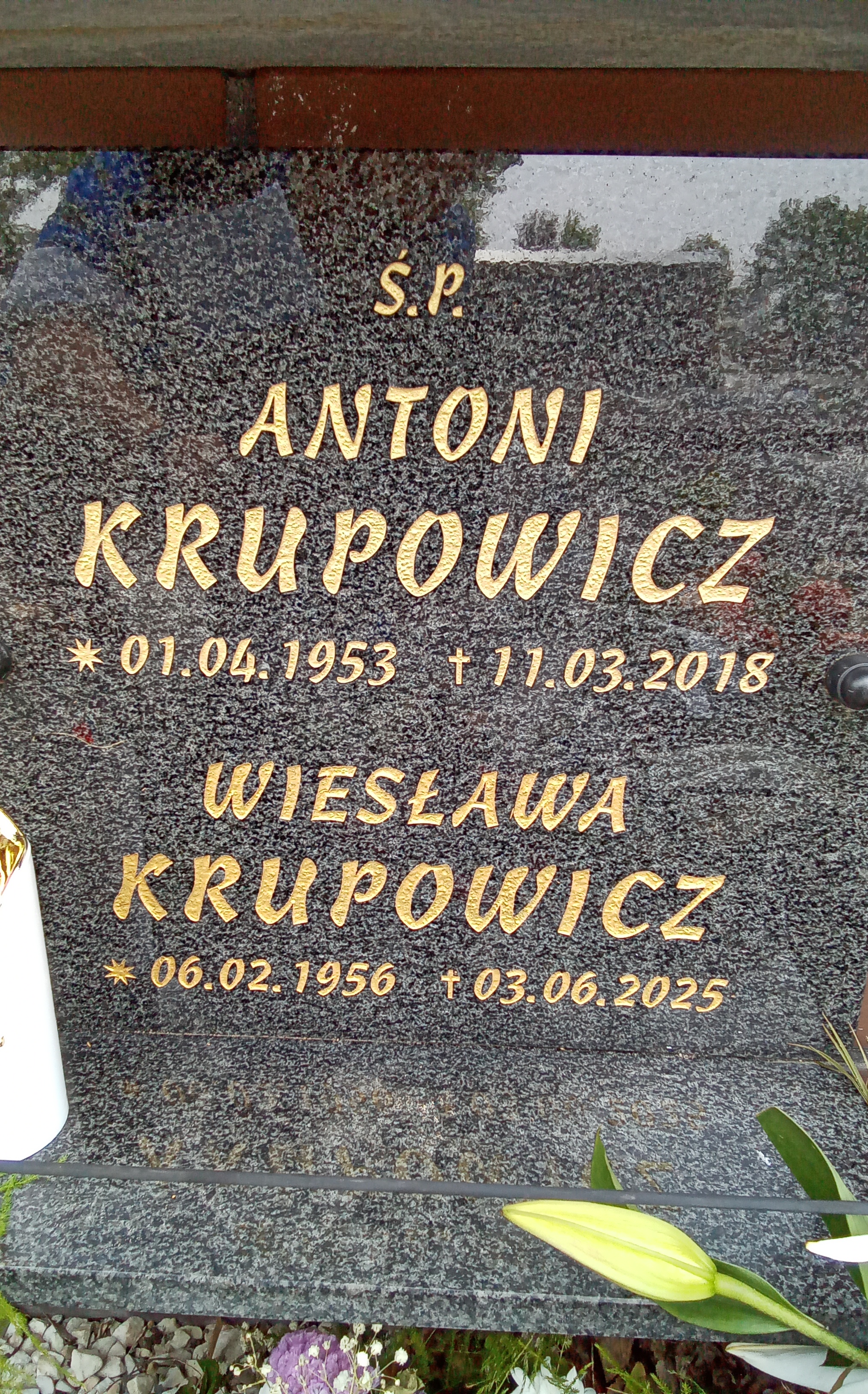 Antoni KRUPOWICZ 1953 Toruń - Grobonet - Wyszukiwarka osób pochowanych