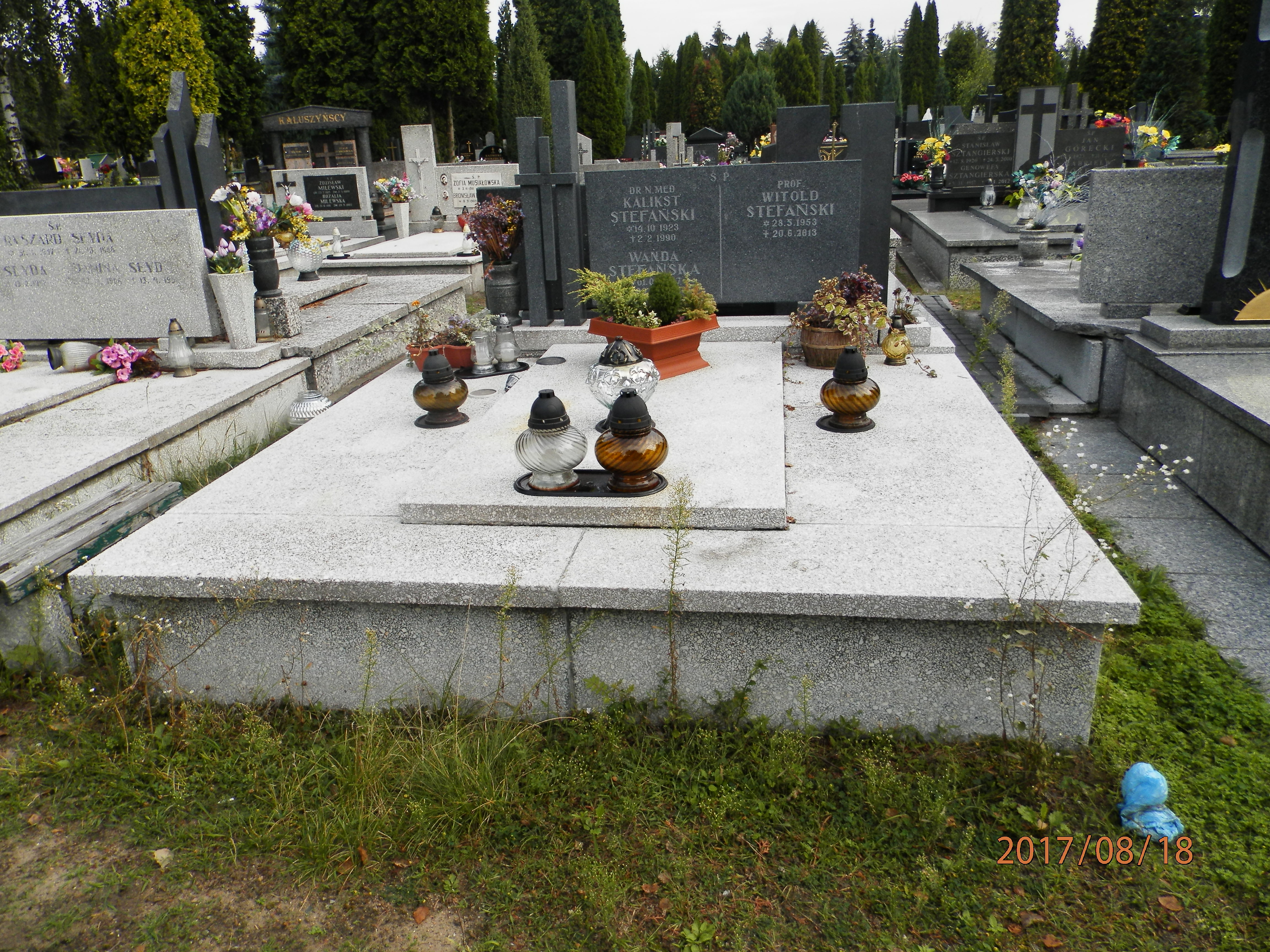 Wanda STEFAŃSKA 1927 Toruń - Grobonet - Wyszukiwarka osób pochowanych