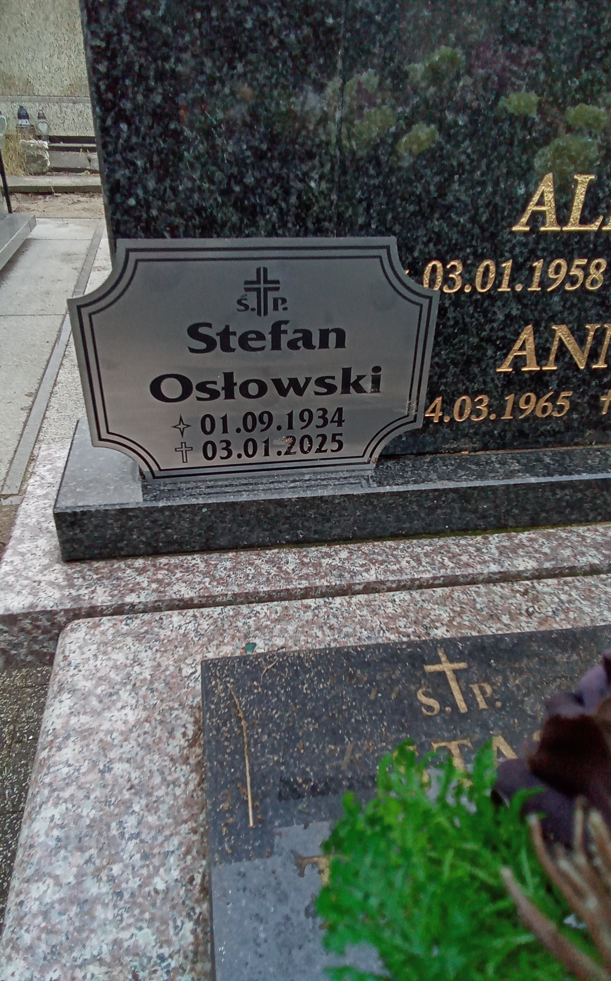 Grób LUCYNA  OSŁOWSKA 