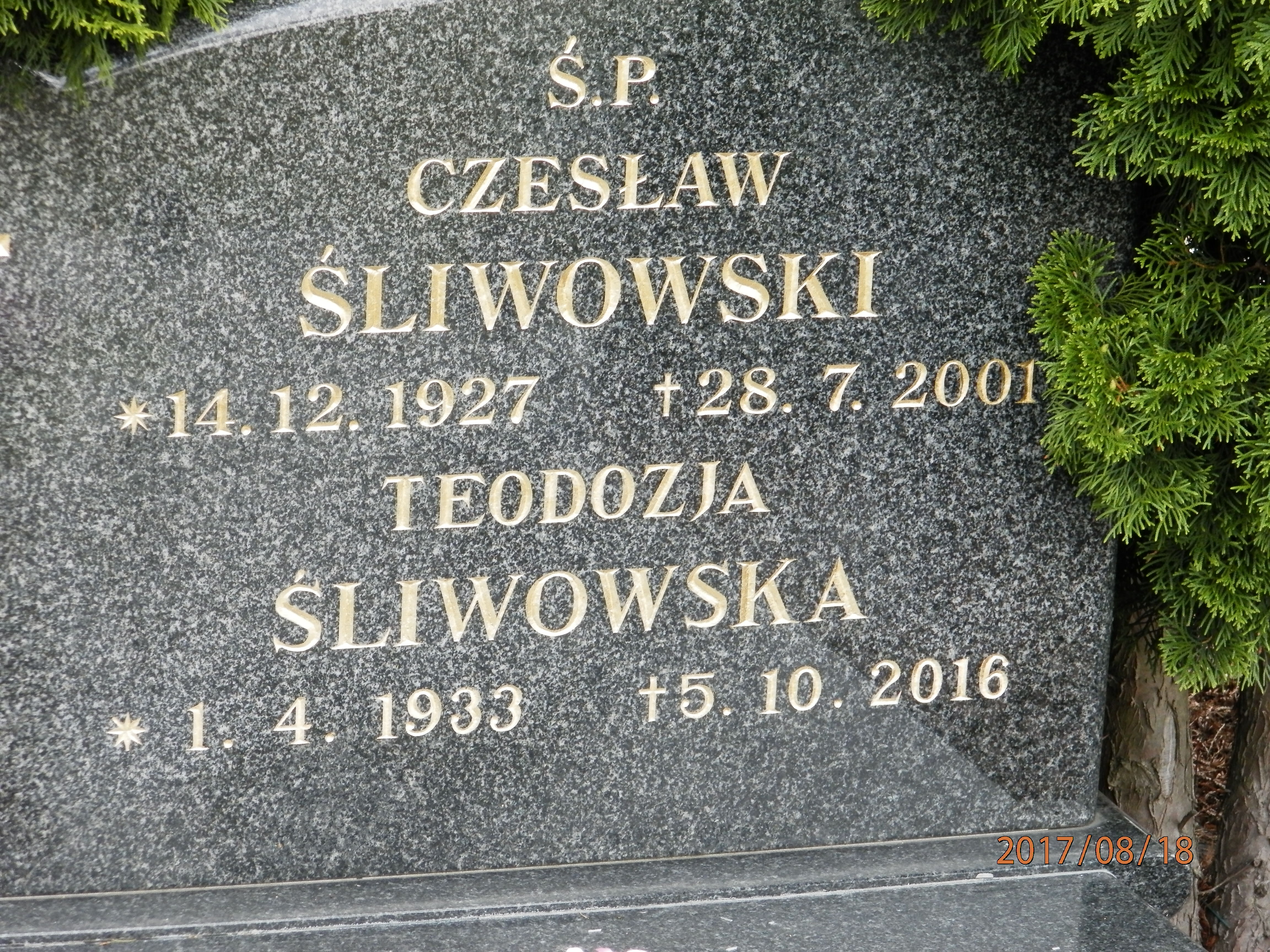 Teodozja ŚLIWOWSKA 1933 Toruń - Grobonet - Wyszukiwarka osób pochowanych