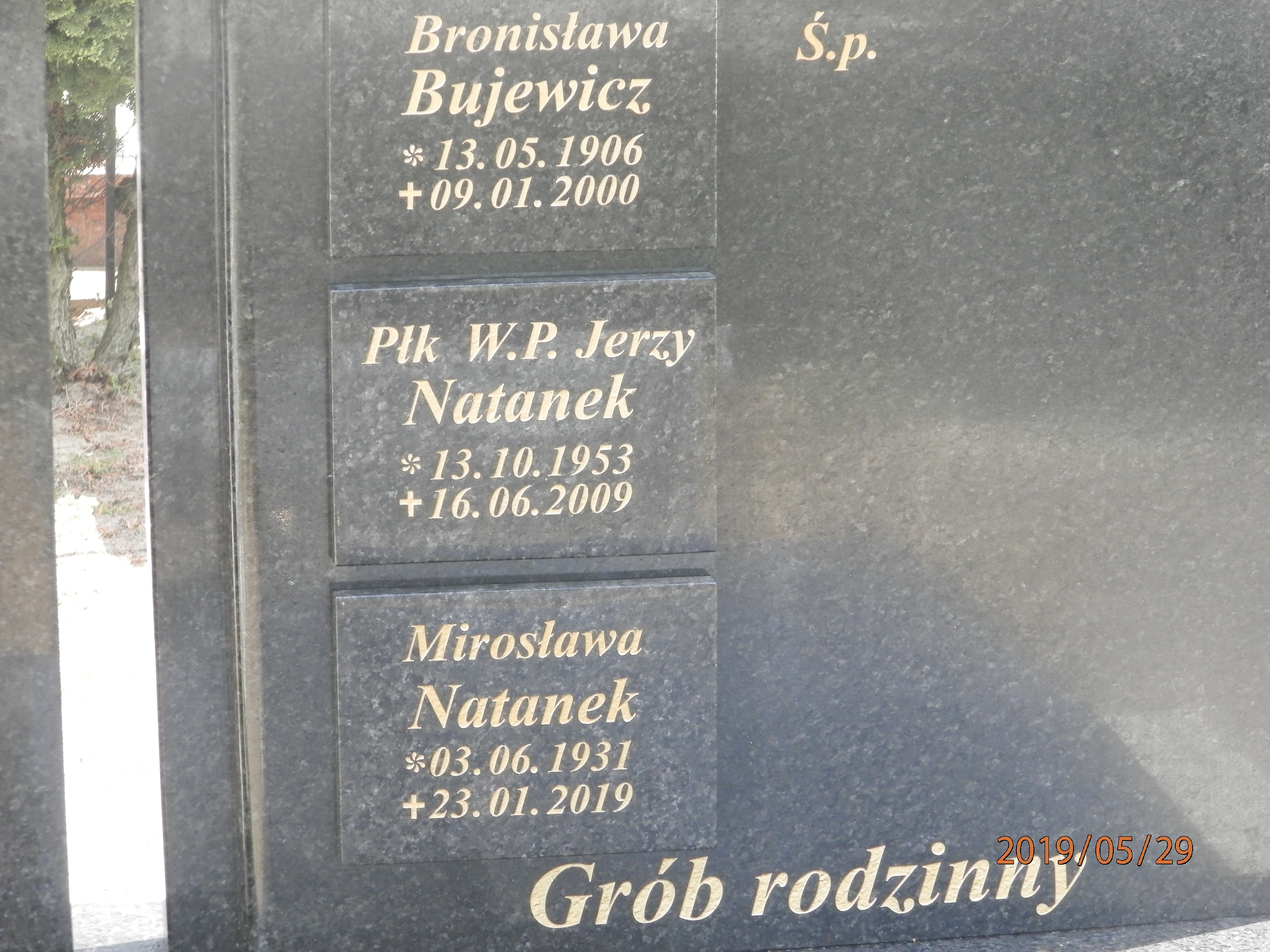 Mirosława NATANEK 1931 Toruń - Grobonet - Wyszukiwarka osób pochowanych