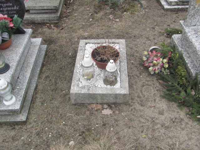 Aleksandra SKÓRA 2014 Toruń - Grobonet - Wyszukiwarka osób pochowanych