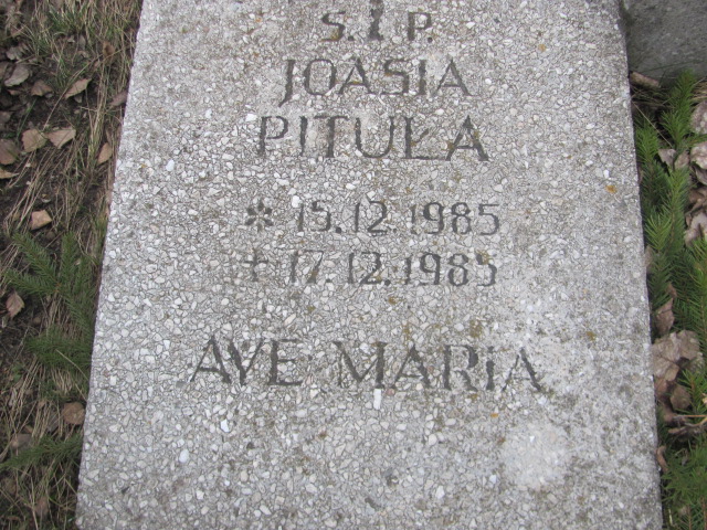 Joanna PITUŁA 1985 Toruń - Grobonet - Wyszukiwarka osób pochowanych