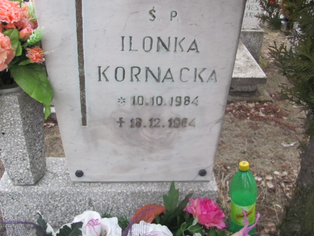 Ilona KORNACKA 1984 Toruń - Grobonet - Wyszukiwarka osób pochowanych