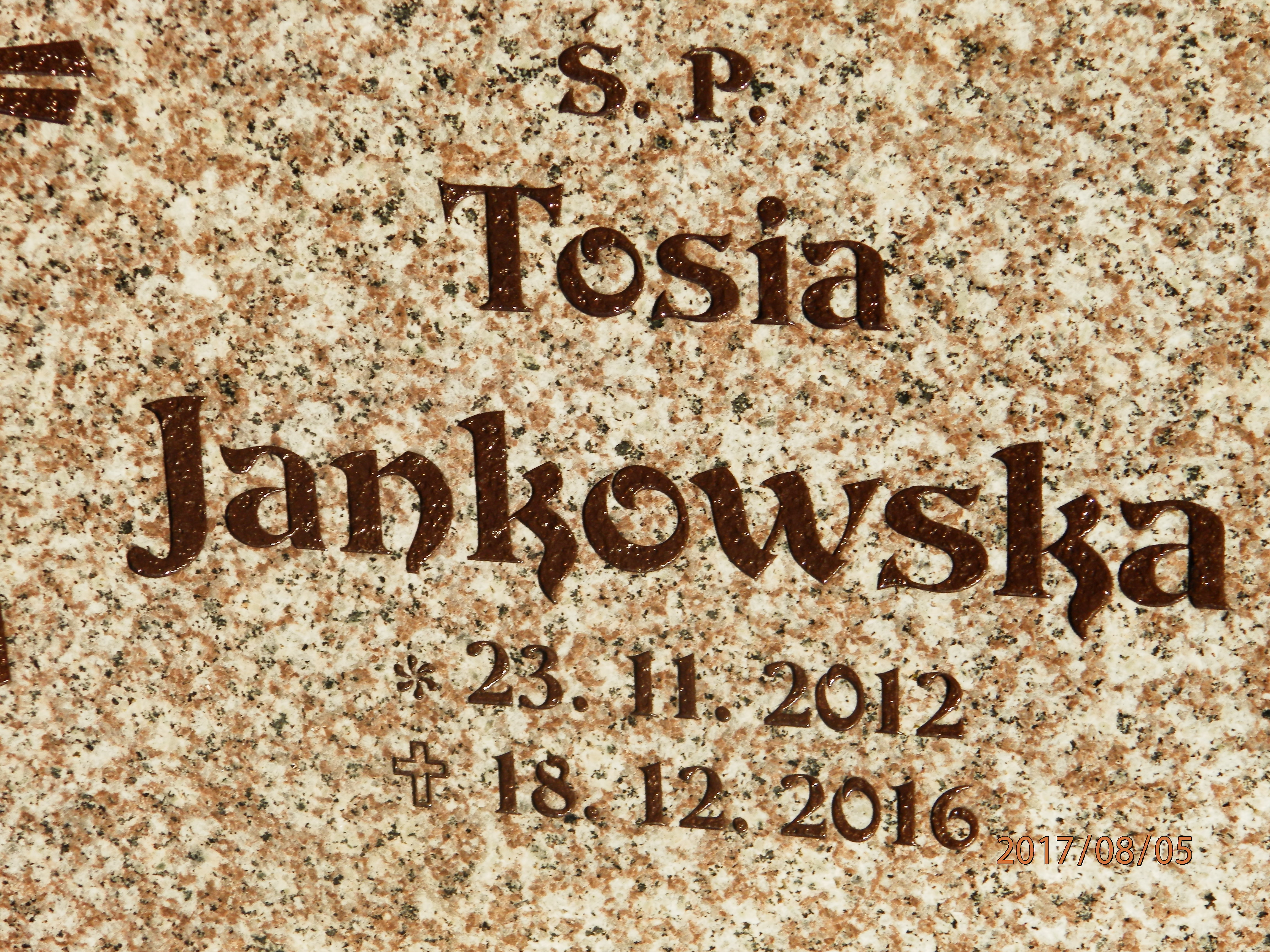 Antonina JANKOWSKA  2012 Toruń - Grobonet - Wyszukiwarka osób pochowanych