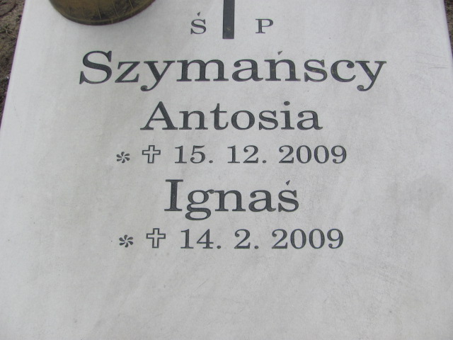 Antonina SZYMAŃSKA 2009 Toruń - Grobonet - Wyszukiwarka osób pochowanych