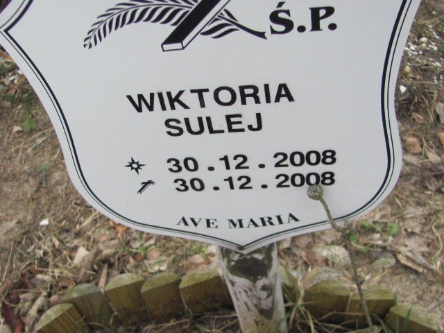Wiktoria SULEJ 2008 Toruń - Grobonet - Wyszukiwarka osób pochowanych