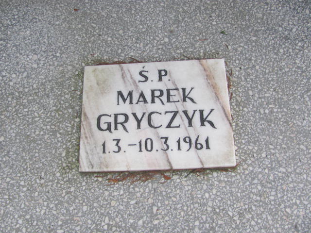 Aleksy GRYCZYK 1924 Toruń - Grobonet - Wyszukiwarka osób pochowanych