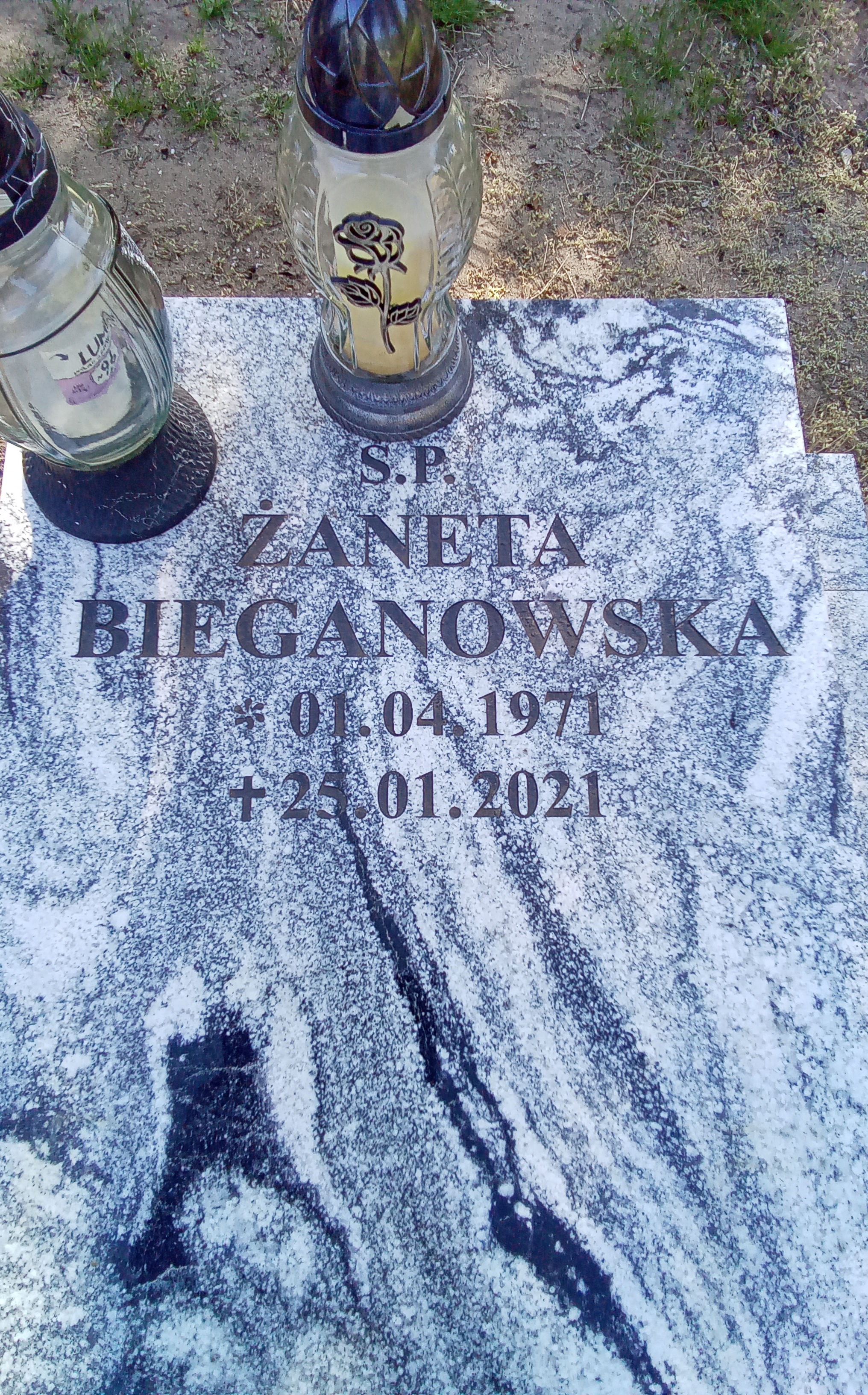 Żaneta BIEGANOWSKA  1971 Toruń - Grobonet - Wyszukiwarka osób pochowanych