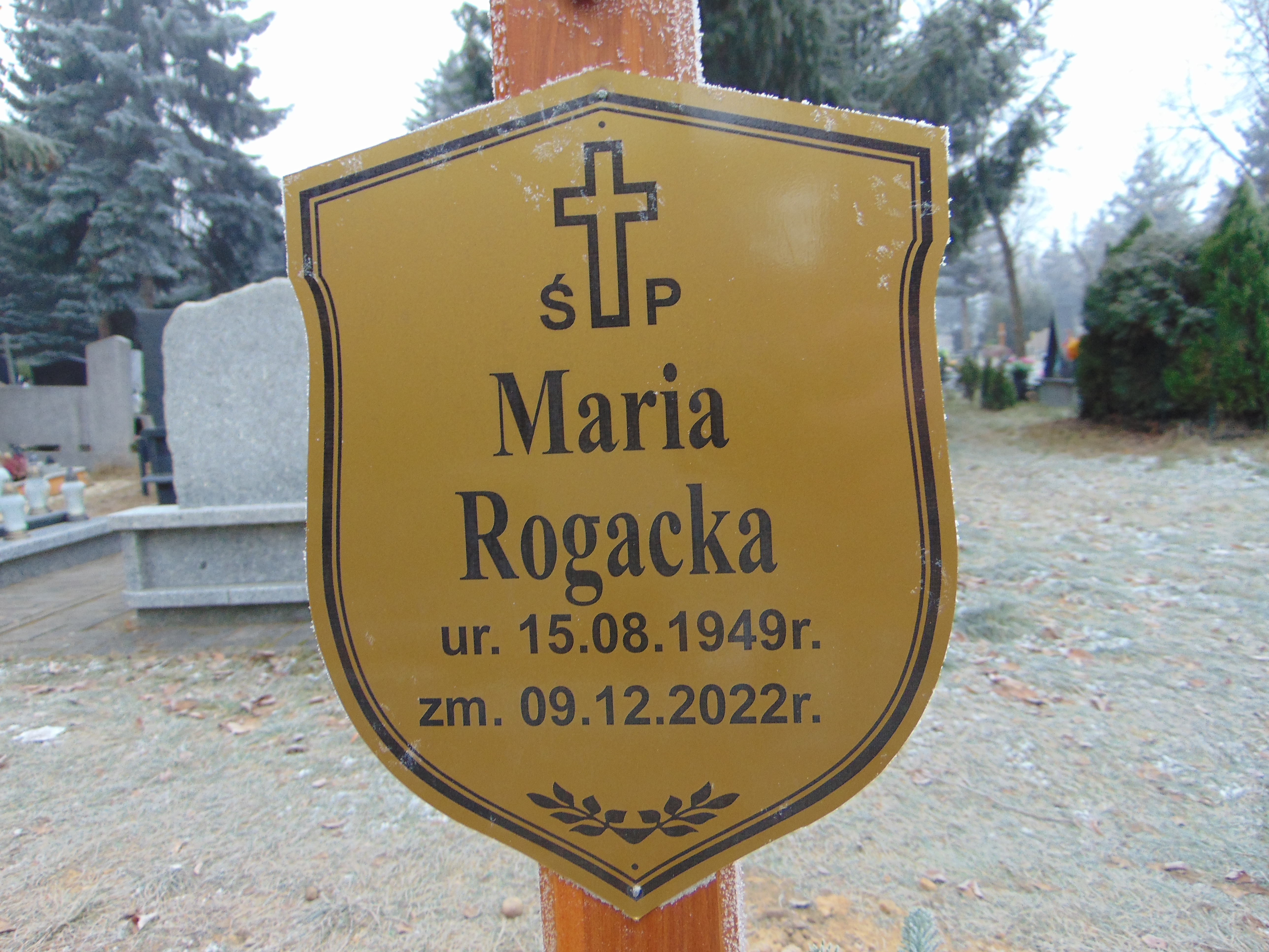 Maria ROGACKA 1949 Toruń - Grobonet - Wyszukiwarka osób pochowanych