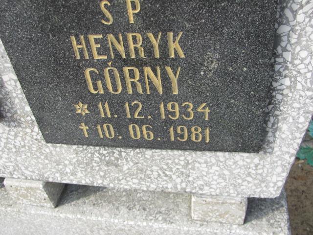 Henryk GÓRNY 1934 Toruń - Grobonet - Wyszukiwarka osób pochowanych