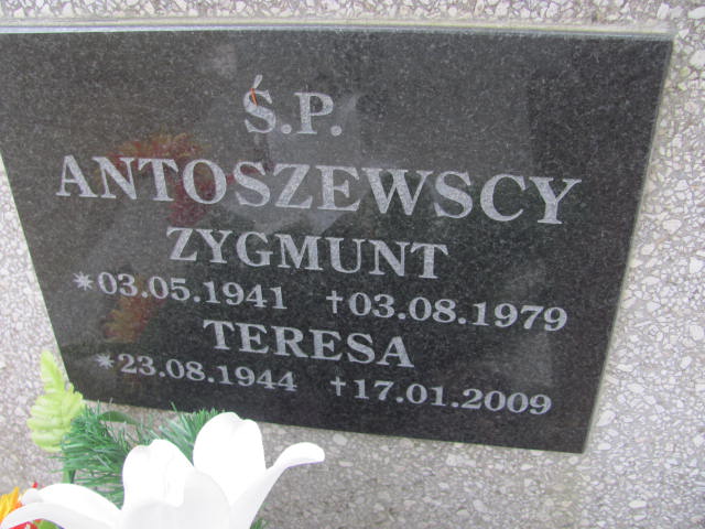 Zygmunt ANTOSZEWSKI 1941 Toruń - Grobonet - Wyszukiwarka osób pochowanych