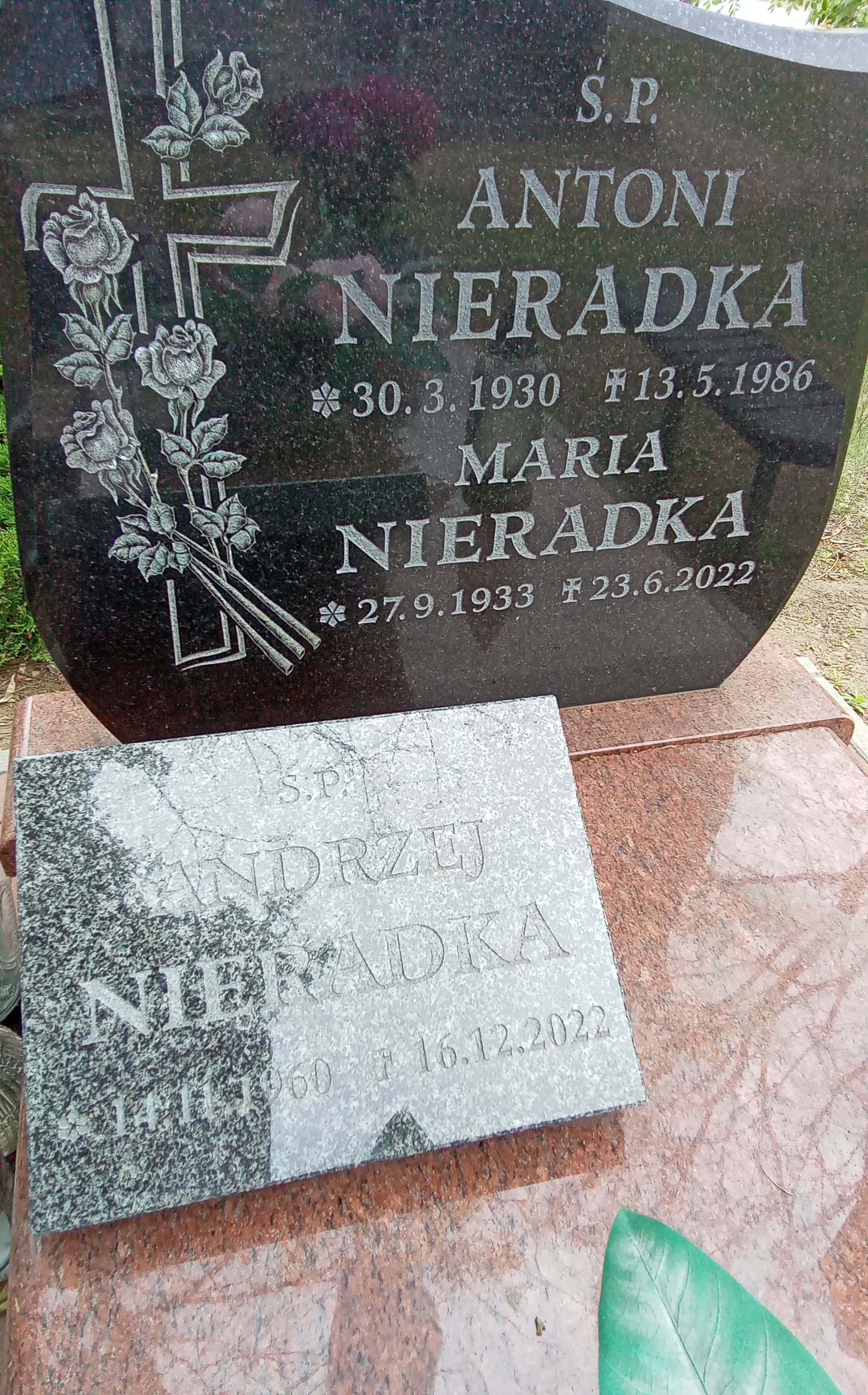 Andrzej NIERADKA 1960 Toruń - Grobonet - Wyszukiwarka osób pochowanych