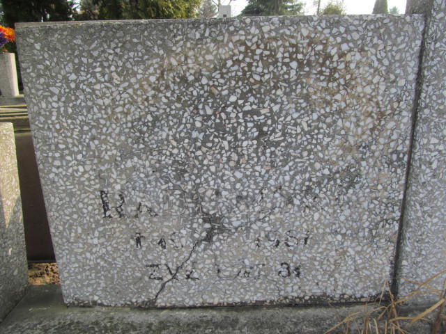 Paweł RADOMSKI 1905 Toruń - Grobonet - Wyszukiwarka osób pochowanych