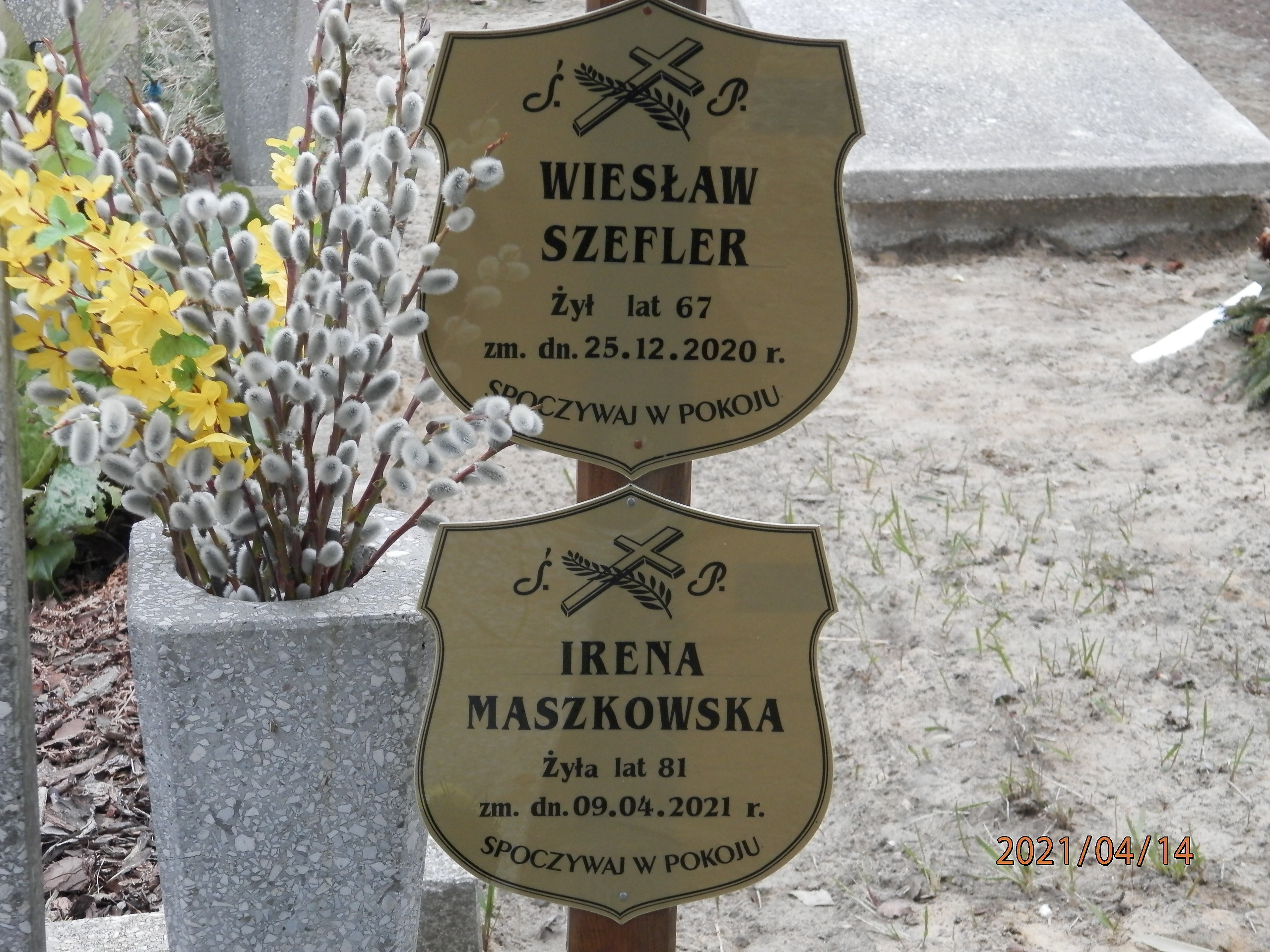 Wiesław SZEFLER 1953 Toruń - Grobonet - Wyszukiwarka osób pochowanych