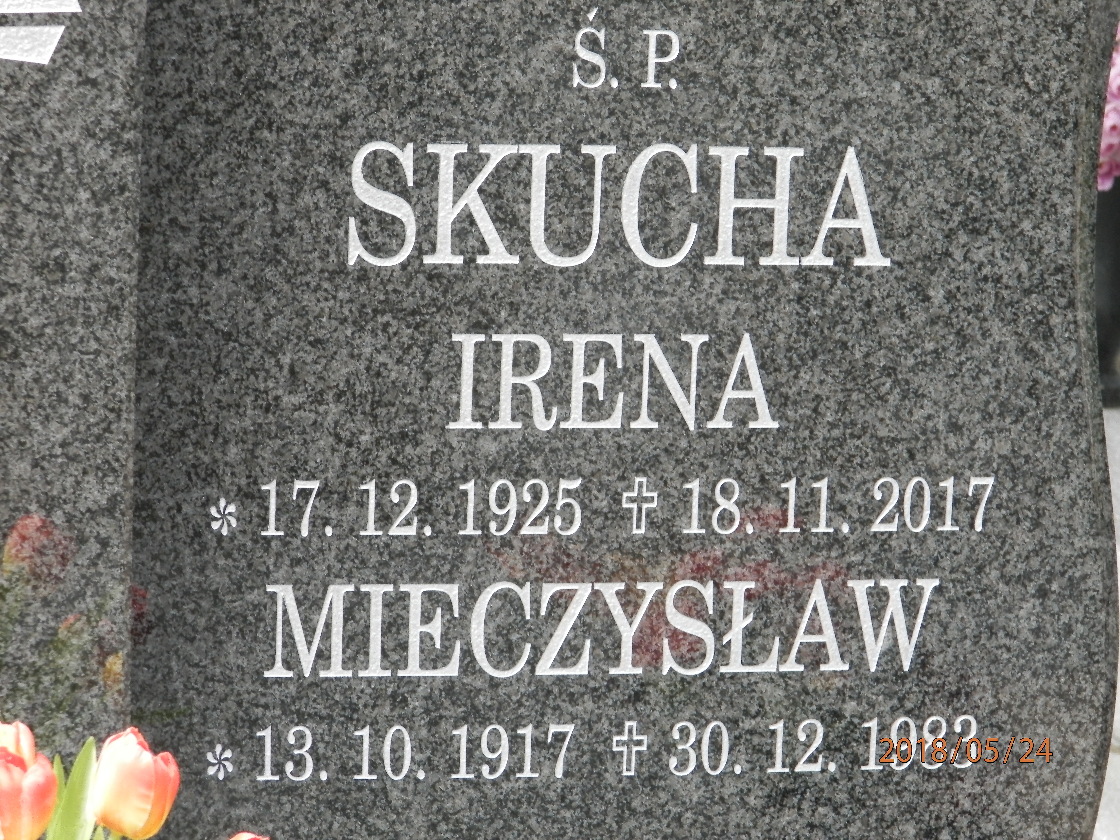 Mieczysław SKUCHA 1917 Toruń - Grobonet - Wyszukiwarka osób pochowanych