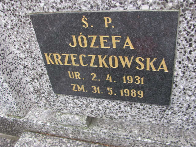 Kazimierz KRZECZKOWSKI 1926 Toruń - Grobonet - Wyszukiwarka osób pochowanych