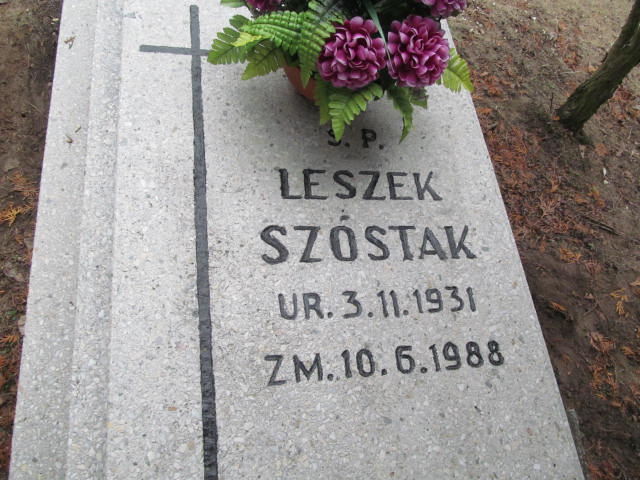 Leszek SZÓSTAK 1931 Toruń - Grobonet - Wyszukiwarka osób pochowanych