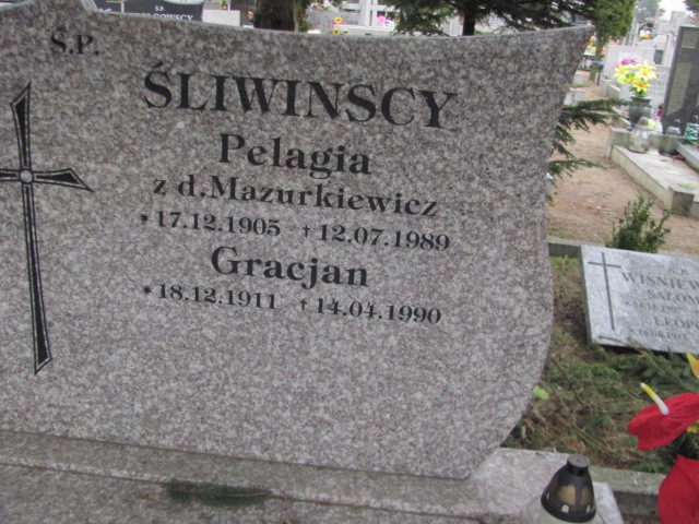 Gracjan ŚLIWIŃSKI 1911 Toruń - Grobonet - Wyszukiwarka osób pochowanych