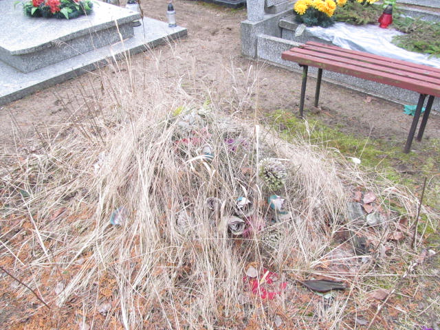 Bronisława BOROWSKA 1906 Toruń - Grobonet - Wyszukiwarka osób pochowanych