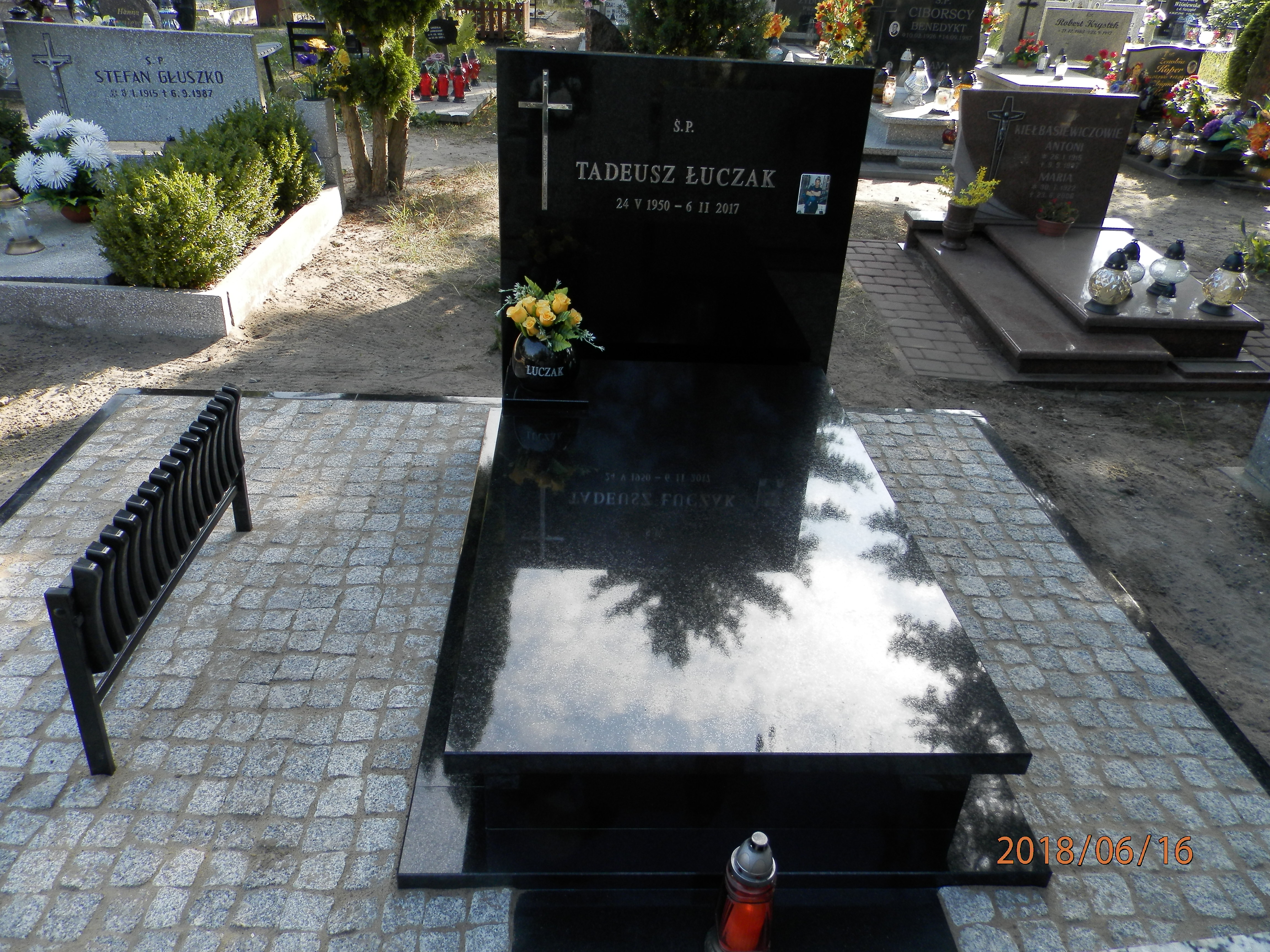 Tadeusz ŁUCZAK 1950 Toruń - Grobonet - Wyszukiwarka osób pochowanych