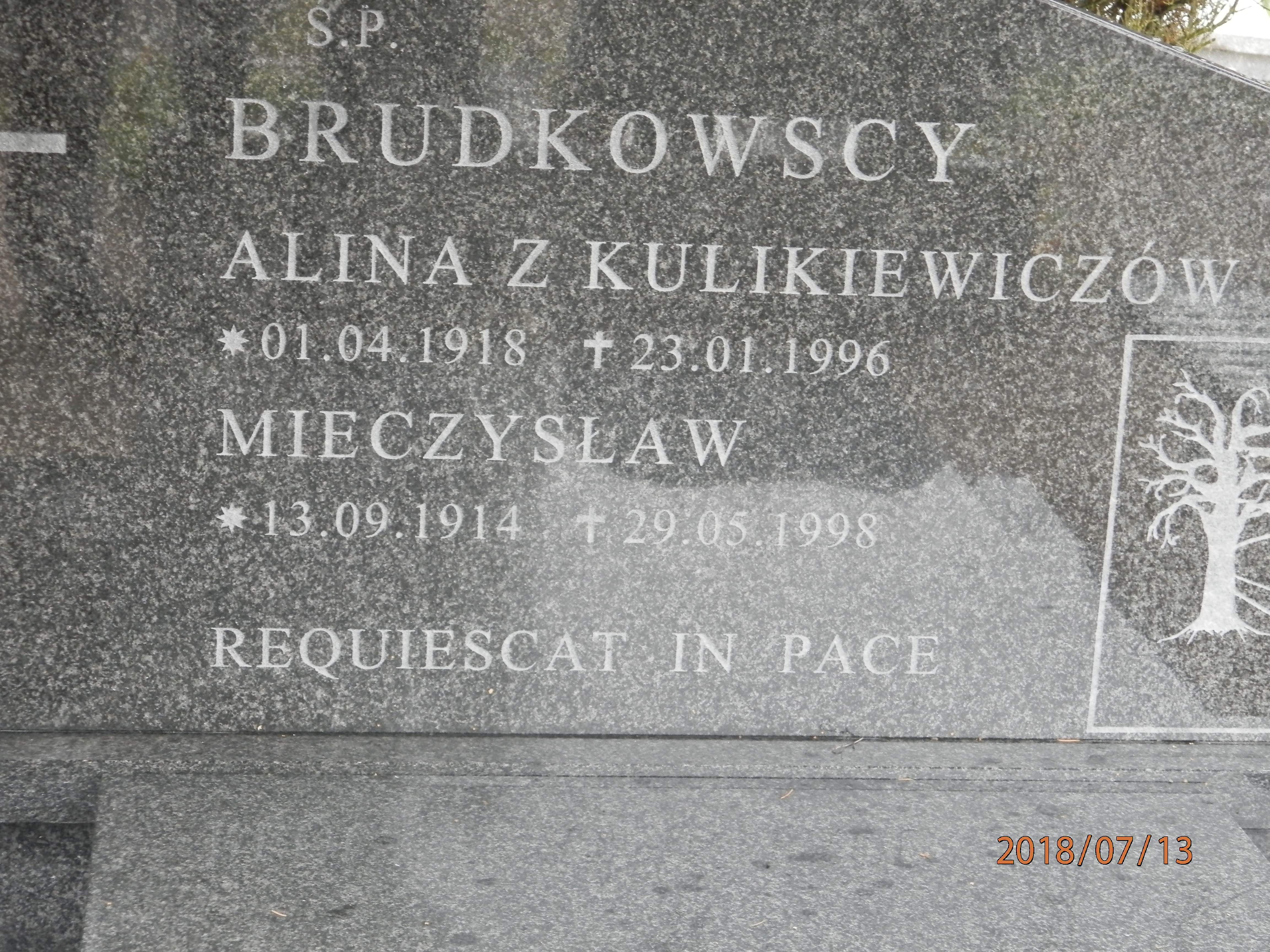 Alina BRUDKOWSKA 1918 Toruń - Grobonet - Wyszukiwarka osób pochowanych