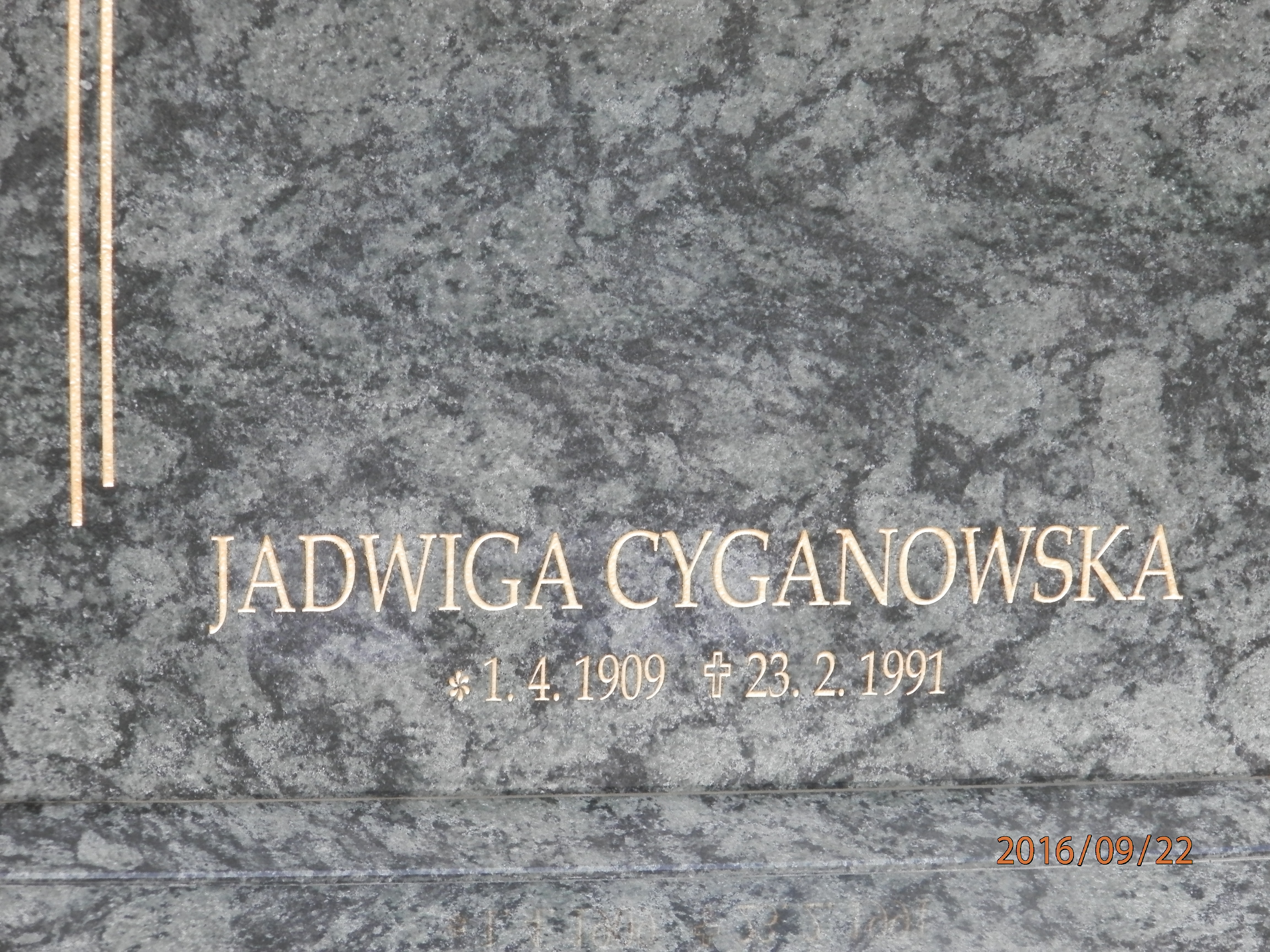 Jadwiga CYGANOWSKA 1909 Toruń - Grobonet - Wyszukiwarka osób pochowanych