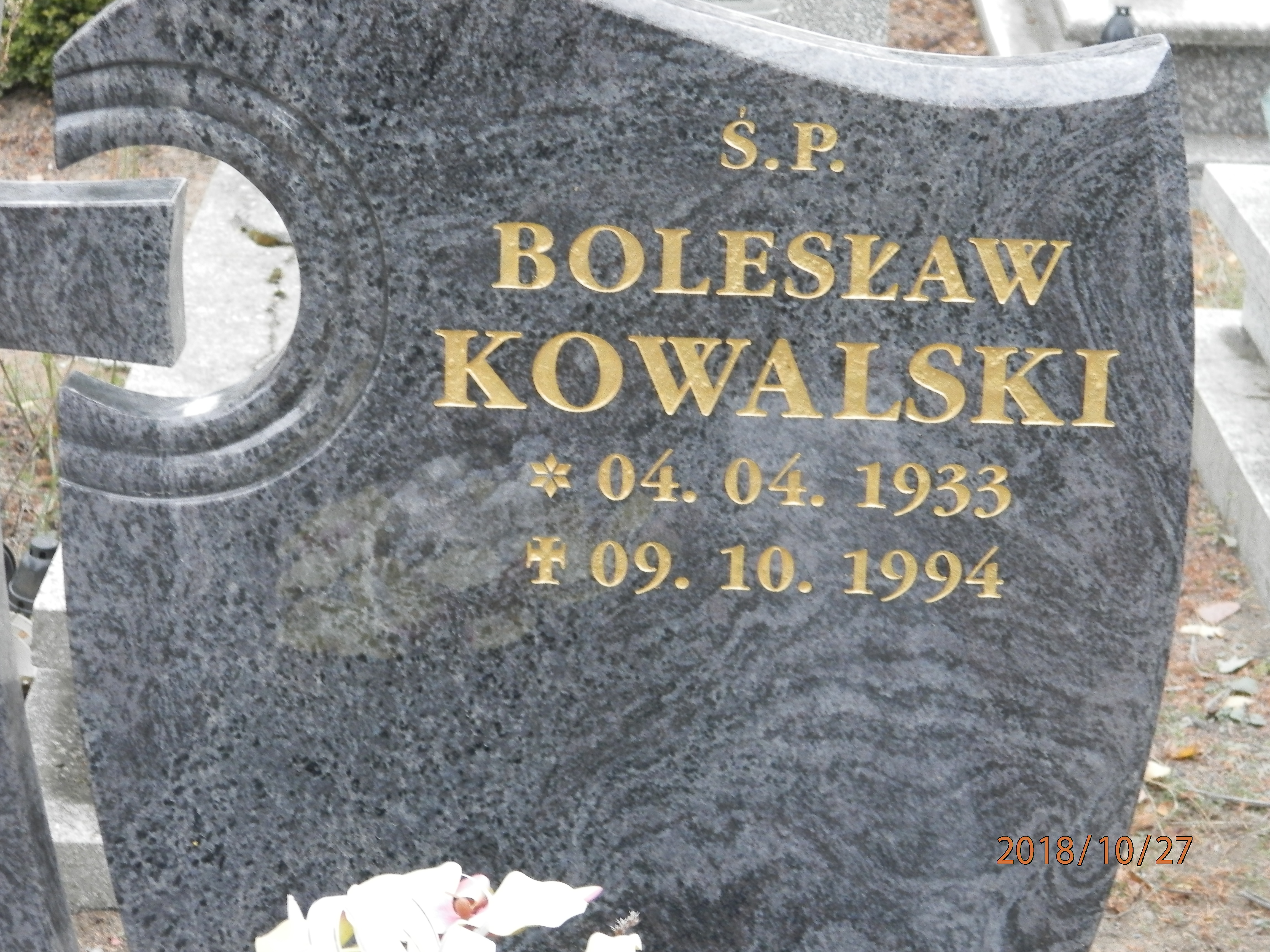 Tadeusz PAWŁOWSKI 1936 Toruń - Grobonet - Wyszukiwarka osób pochowanych