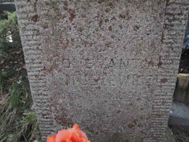 Konstanty ANTUSZEWICZ 1876 Toruń - Grobonet - Wyszukiwarka osób pochowanych