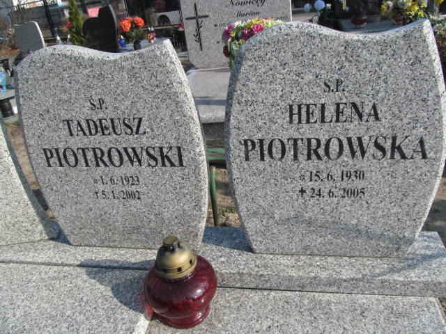 Tadeusz PIOTROWSKI 1926 Toruń - Grobonet - Wyszukiwarka osób pochowanych