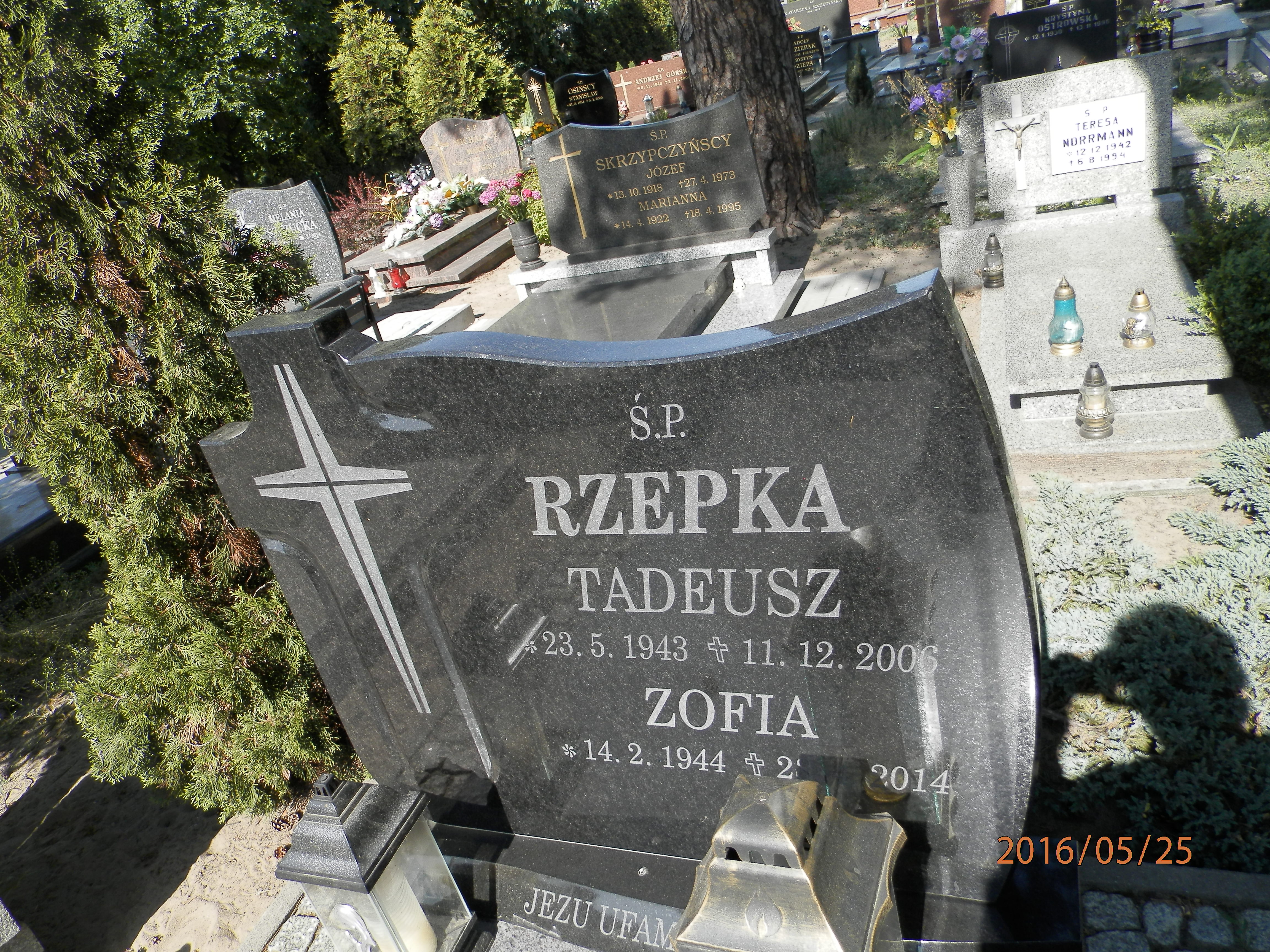 Tadeusz RZEPKA 1943 Toruń - Grobonet - Wyszukiwarka osób pochowanych