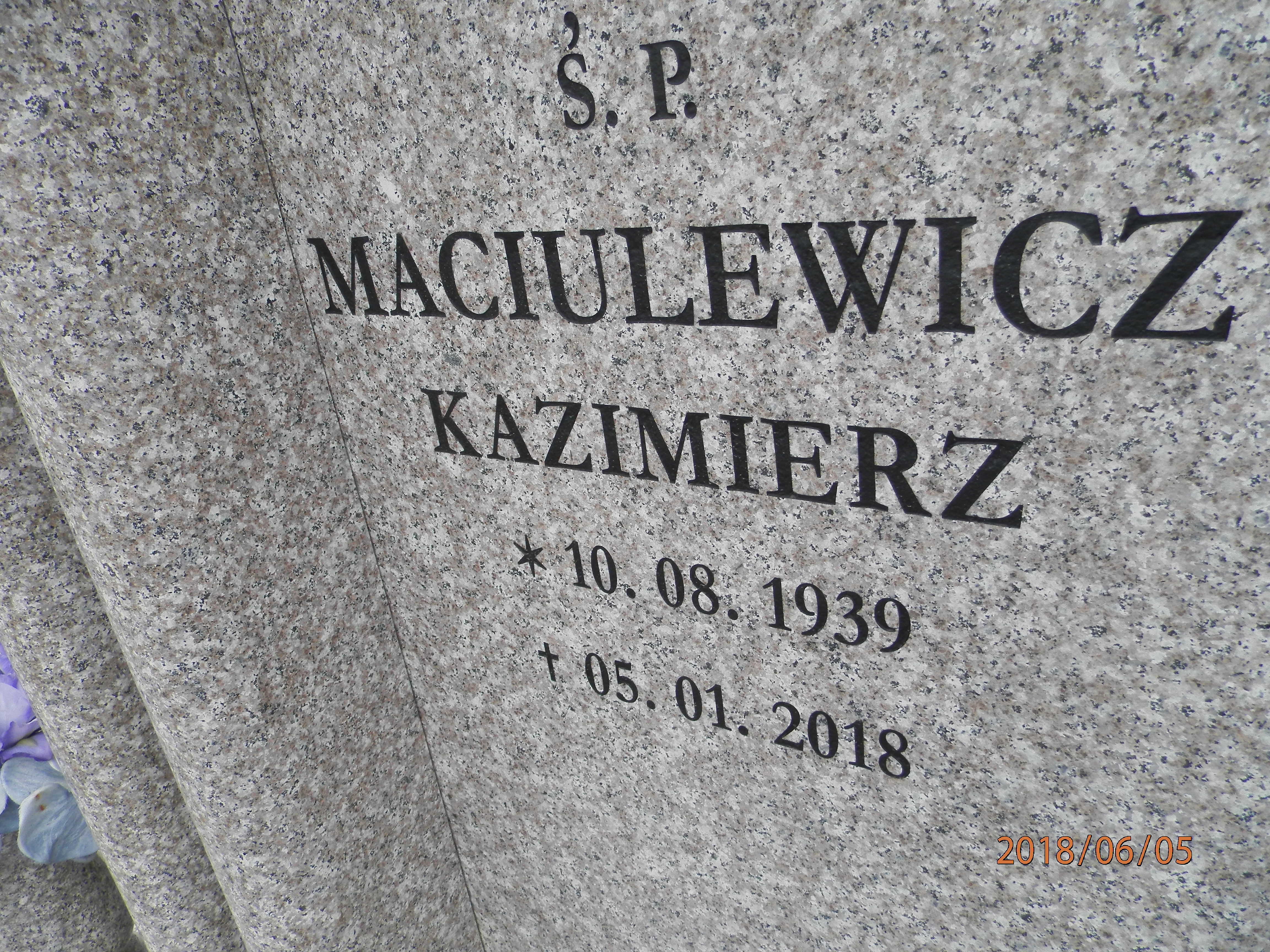 Kazimierz MACIULEWICZ  1939 Toruń - Grobonet - Wyszukiwarka osób pochowanych