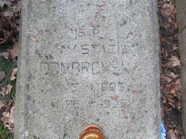 Aleksander DOMBROWSKI 1894 Toruń - Grobonet - Wyszukiwarka osób pochowanych